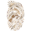 Falknerei Falkner