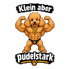 Klein aber Pudelstark