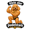 Klein aber Pudelstark