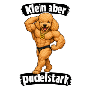 Klein aber Pudelstark