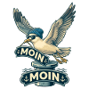 Coole Möwe Moin Moin Norddeutschland