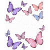 Purple Love: Butterfly Magic