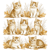 Kitten Nature