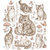 Kitten Nature
