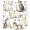 Kitten Nature
