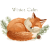 Winter Calm Fox Cozy Winter