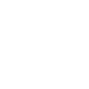 Surfer