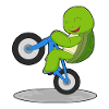 Turtle Bicycle