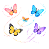Butterflies