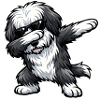 Dabbing Bearded Collie