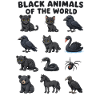 Black animals of the