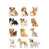British Dog Breed Chart Cute