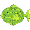 puffy 