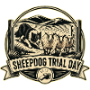 SHEEPDOG TRIAL DAY Hund