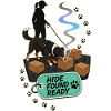HIDE FOUND READY Hund
