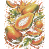 Papaya Tropic Exotic Fruit Splash Art
