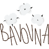 Bavovna - Cotton