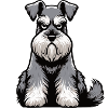 Schnauzer Giant Schnauzer Schnauzer Owner