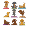 Dog Yoga Collection on Mat