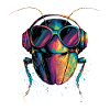 cockroach cockroach insects cockroach cockroaches