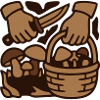 Mushroom Picker Basket Graphic
