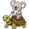 Little koala rides turtle