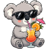 Koala Cocktail am Strand