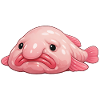 Blobfisch