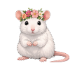 Ratte