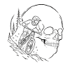 Skull MTB Waldsilhouette