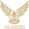 Falconry Falcon Eagle Falconer Falconer