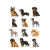 German Dog Breed Chart Cute