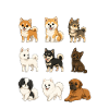 Japanese Dog Breed Chart Cute