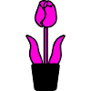 Blume