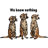 Funny Meerkat Trio - We know nothing