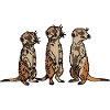 Cute, hand-drawn Meerkat Trio design