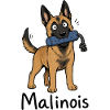 Malinois Dog Puppy