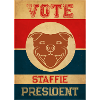 Staffie President - 013