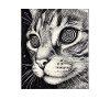 Hypnotischer Katzenblick im All