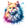 Turkish Angora Cat Motif