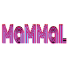 Mammal Neon Striped Typography