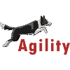 Agility logo "Jumping"