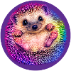 Regenbogen-Igel 