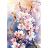 Aquarellfarben pastellfarbene Kirschblüten