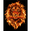 Be Fearless Fire Lion