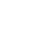 Siebenbürger Fanshirt