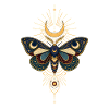 Golden Moon Butterfly with Star Rays