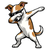 Dabing Whippet dans le style comique
