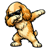 Dabbing American Cocker Spaniel