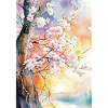 Kirschbäume in Aube Aquarell